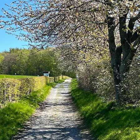Lejlighed Zweite Heimat - Herzzeit - Hundefreundlich Lohme