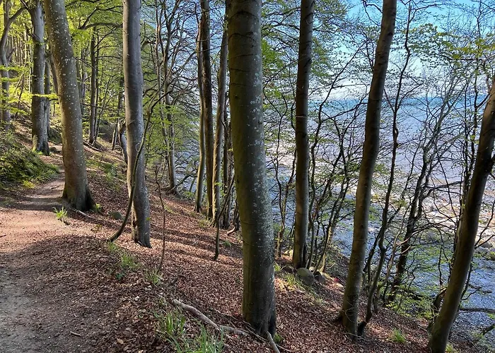 Zweite Heimat - Herzzeit - Hundefreundlich * Lohme